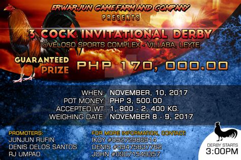 3cock derby|NSGBA .